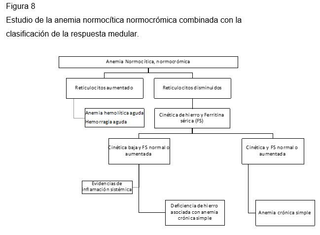 Anemia megaloblastica y perdida de peso